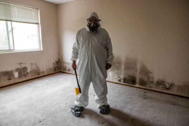Best Emergency Mold Removal  in Creve Coeur, MO